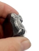 Picture of Impression Die All About Bows 2