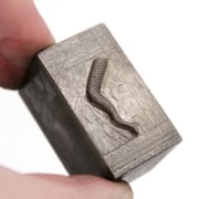 Picture of Impression Die Whiting & Davis Snake Tail