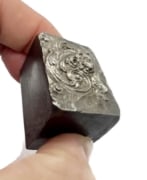 Picture of Impression Die Dragon Chasing Its Wing