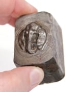 Picture of Impression Die The Scarred Elephant