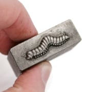 Picture of Impression Die Cutest Caterpillar