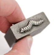 Picture of Impression Die Cutest Caterpillar