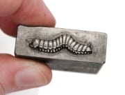 Picture of Impression Die Cutest Caterpillar