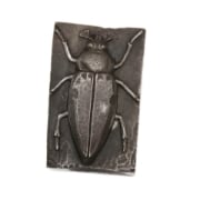 Picture of Impression Die Large Maybeetle