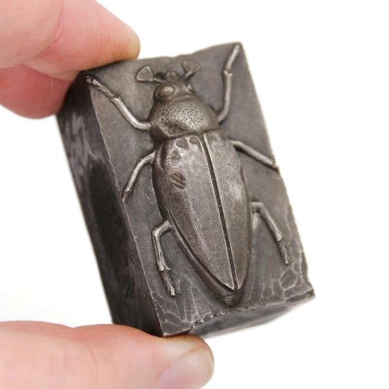 Picture of Impression Die Large Maybeetle