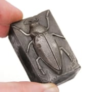 Picture of Impression Die Large Maybeetle