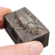 Picture of Impression Die Large Maybeetle