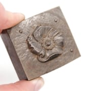 Picture of Impression Die Large Windblown Poppy