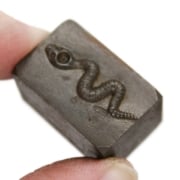 Picture of Impression Die Little King Rattlesnake