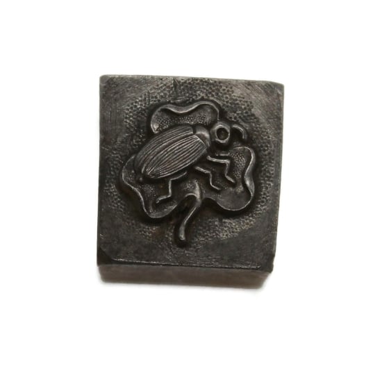 Picture of Impression Die Lucky Bug on Clover