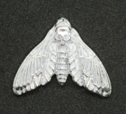 Picture of Death's Head Hawkmoth Impression Die UN-N834 + Pancake Die 2019 Bundle