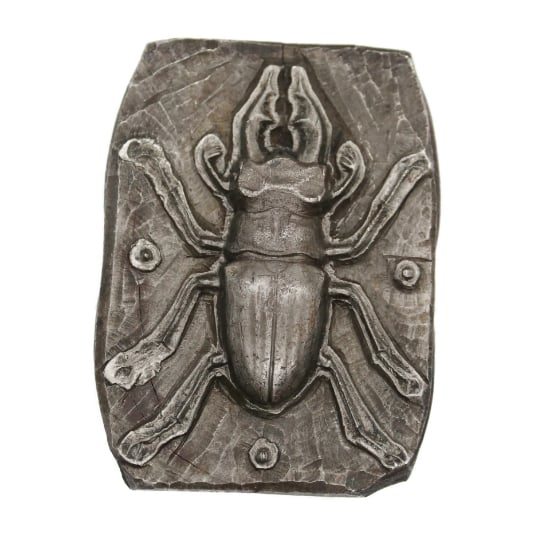 Picture of Impression Die Perfect Stag Beetle