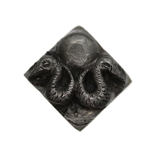 Picture of Impression Die Twin Sun Snakes