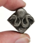 Picture of Impression Die Twin Sun Snakes