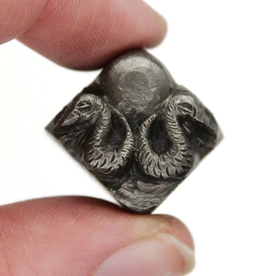 Picture of Impression Die Twin Sun Snakes