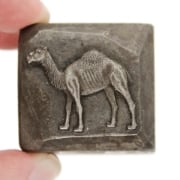 Picture of Impression Die Realistic Camel