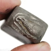 Picture of Impression Die The Little Hatchling That Could