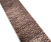 Picture of Pattern Plate RMP458 Spooky Branches
