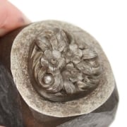 Picture of Impression Die Classic Flowers Trillion