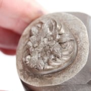 Picture of Impression Die Classic Flowers Trillion