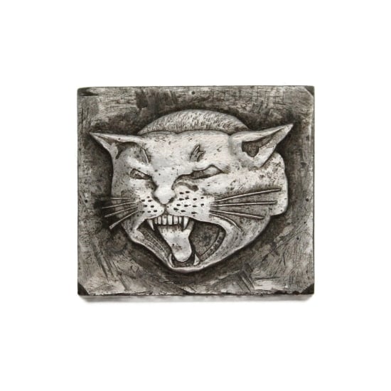 Picture of Impression Die Angry Cat