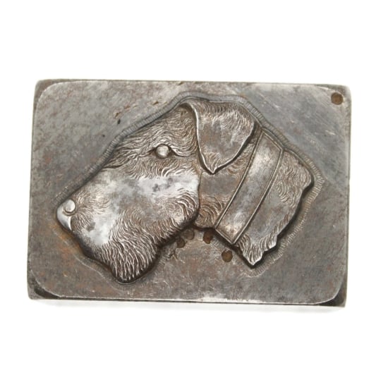 Picture of Impression Die Bearded Dog in Profile