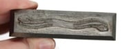Picture of Impression Die Twin Snakes Ring