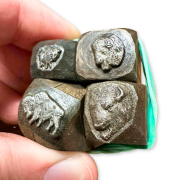 Picture of Impression Die Bison Shot Plate