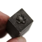 Picture of Impression Die Tiniest Sea Turtle