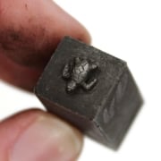 Picture of Impression Die Tiniest Sea Turtle
