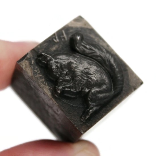Picture of Impression Die Squirrel & Acorn