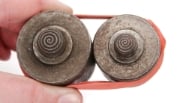 Picture of Impression Die Yarn Bead Pair