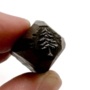Picture of Impression Die Tiny Pine Tree