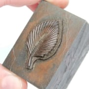 Picture of Impression Die Depressed Fanned Leaf