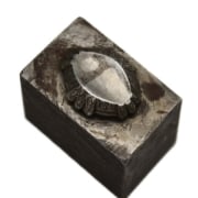 Picture of Impression Die Heavy Acanthus Bezel